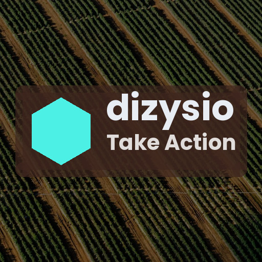 dizysio
